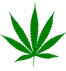 decriminalize marijuana