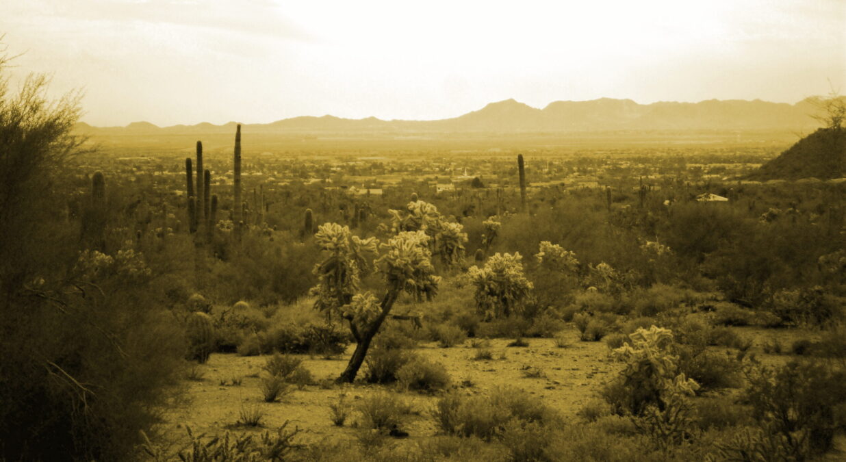 Arizona Territory