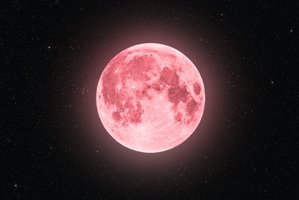 Watch For the Pink Moon Lighting The Sky