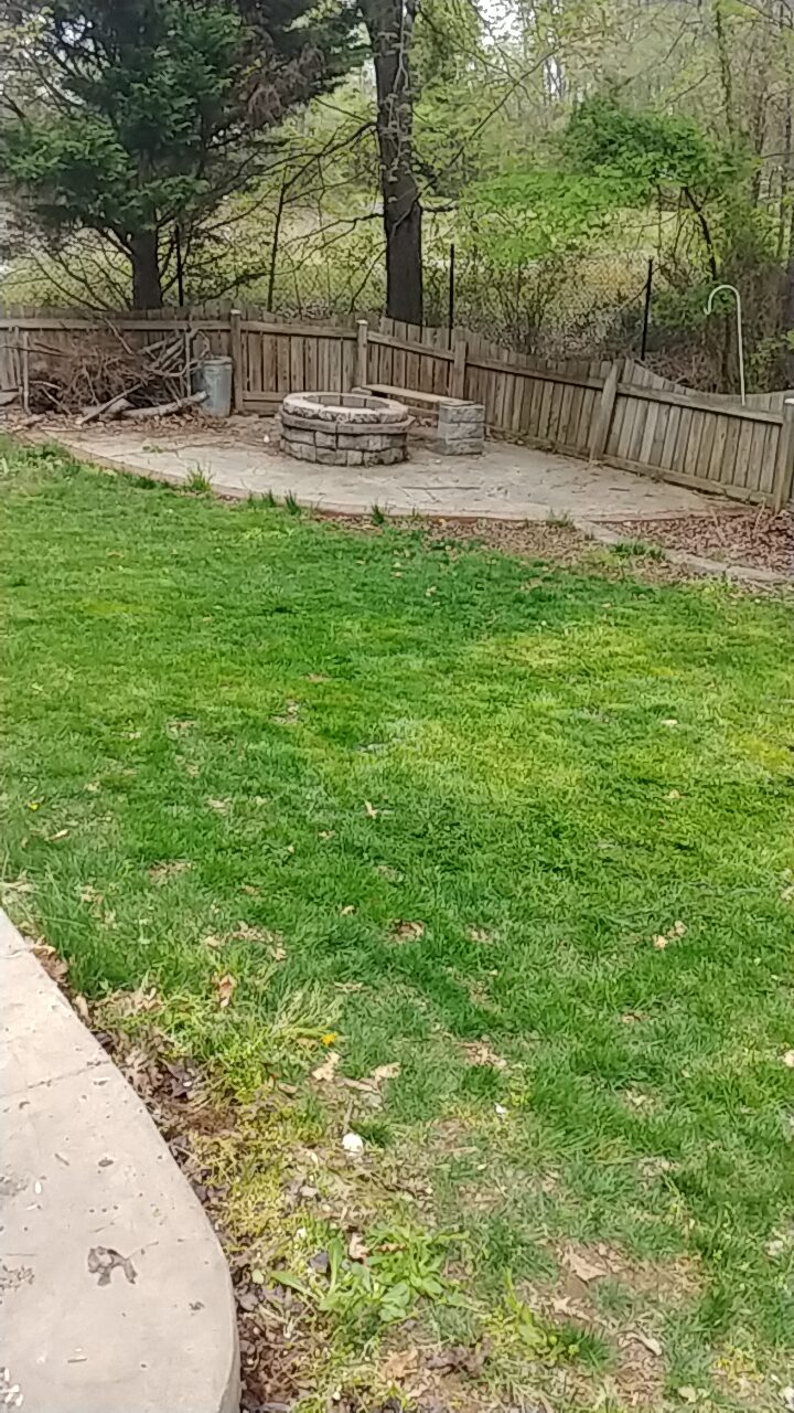 I Mowed The Lawn – For The First Time