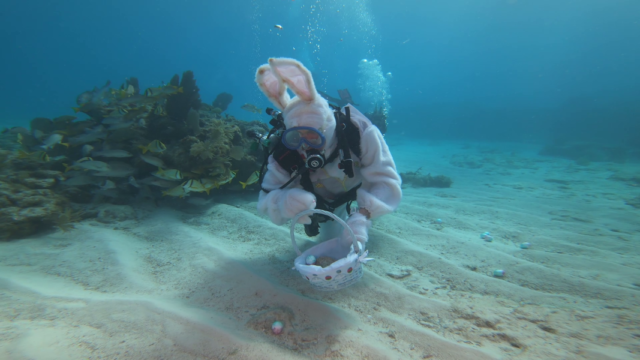 underwater easter egg hunt